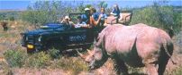 Eastern Cape Safari